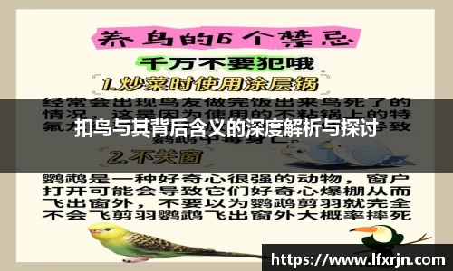 扣鸟与其背后含义的深度解析与探讨